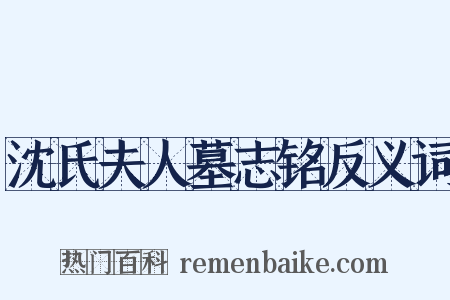沈氏夫人墓志铭反义词是什么意思的图片